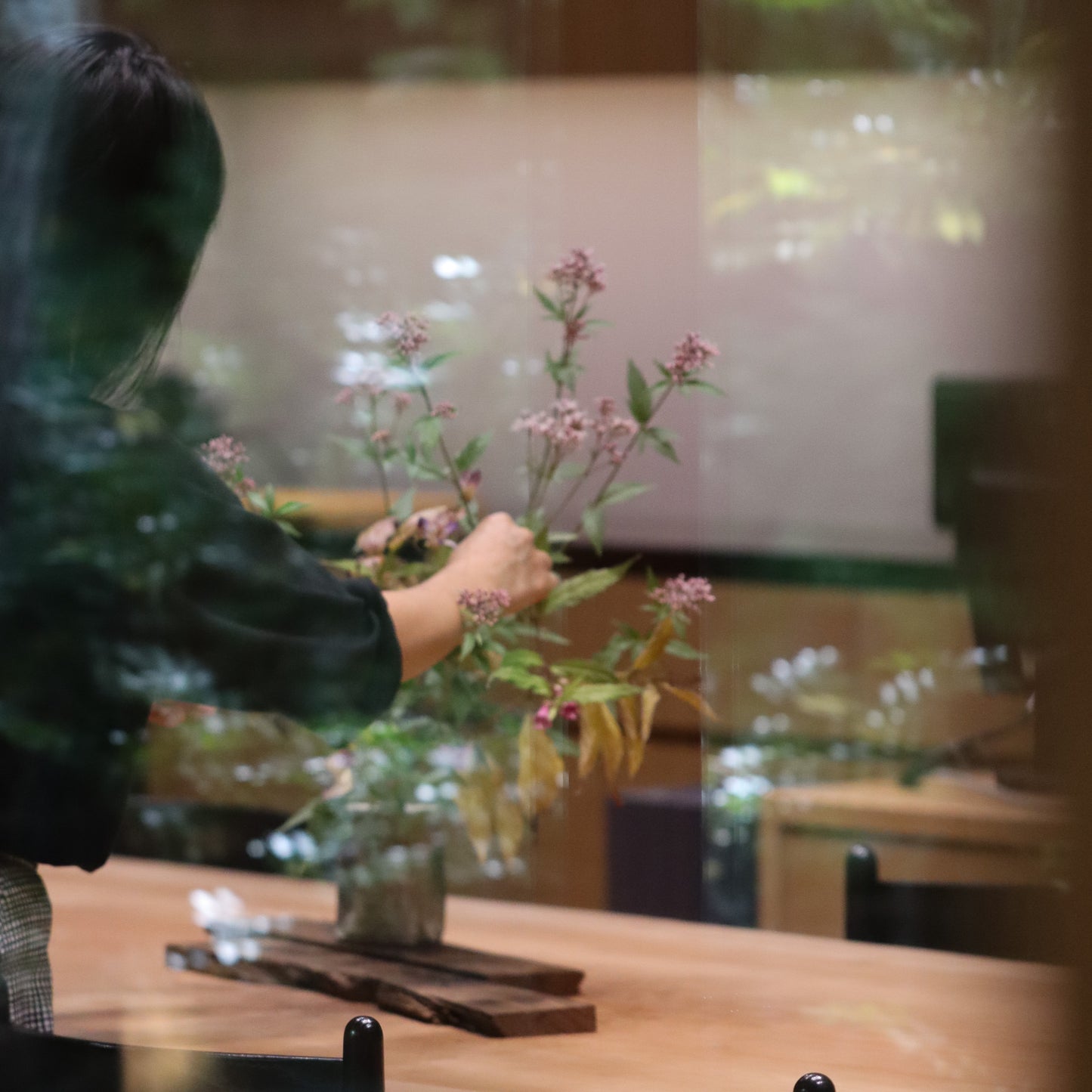 季節のお茶花 定期便 月に一度 5種