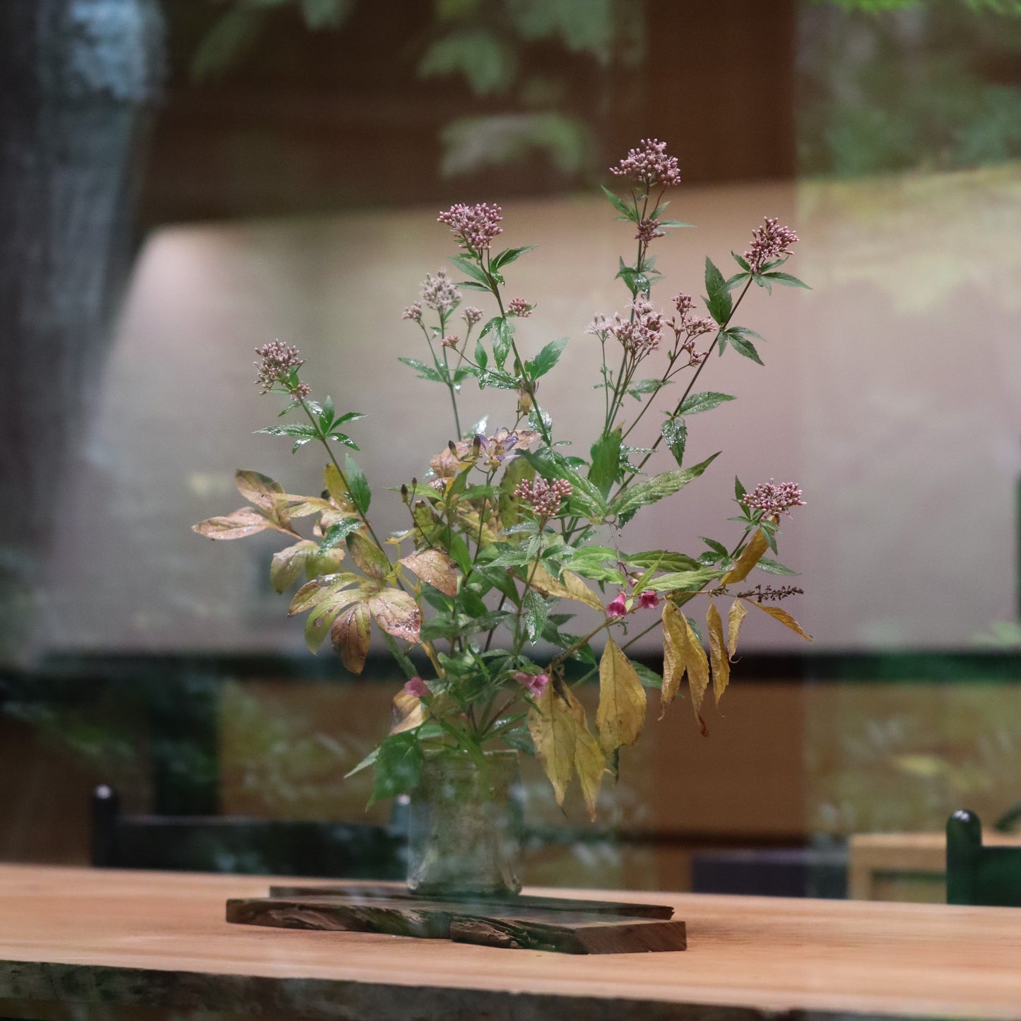 季節のお茶花 定期便 月に一度 5種