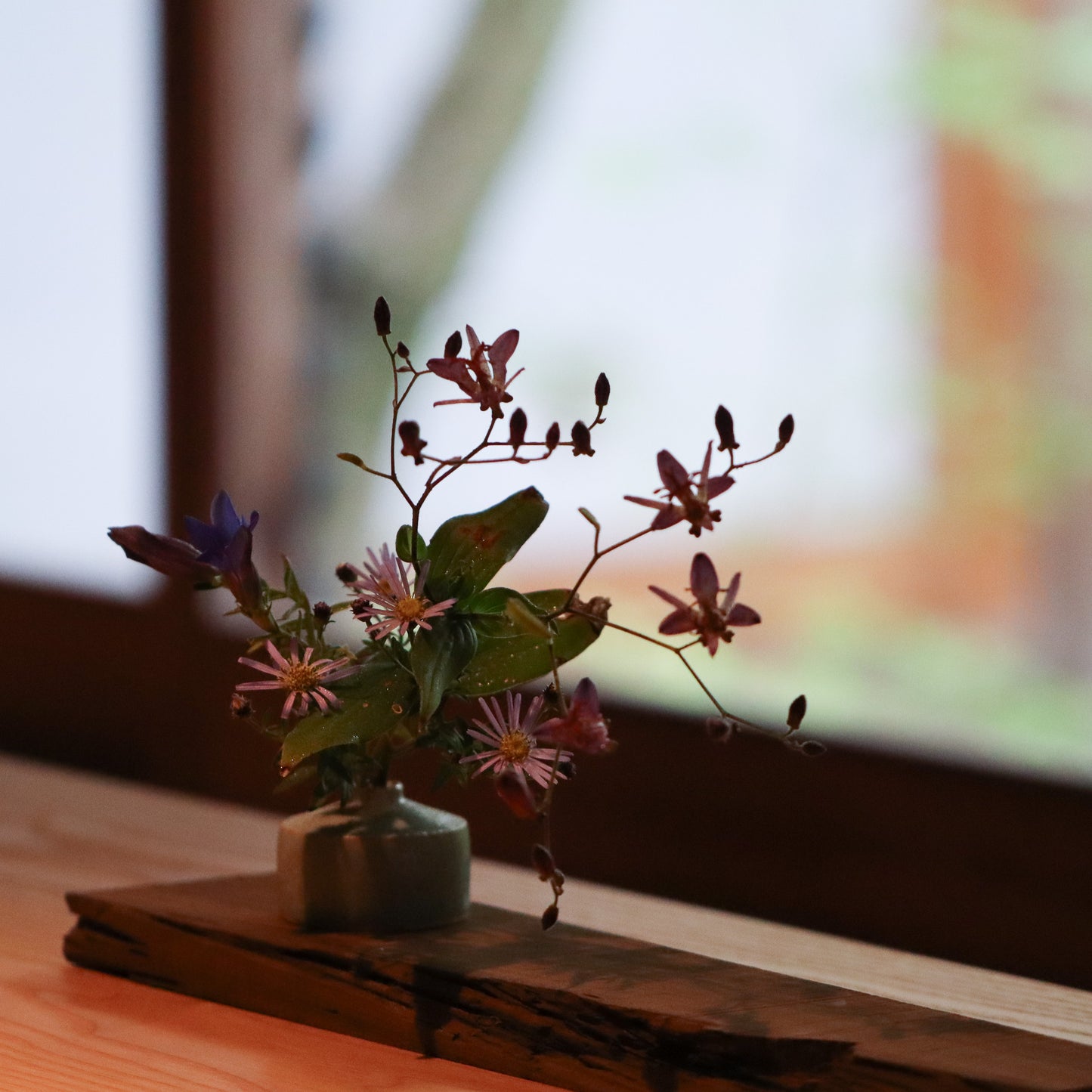 季節のお茶花 定期便 月に一度 3種