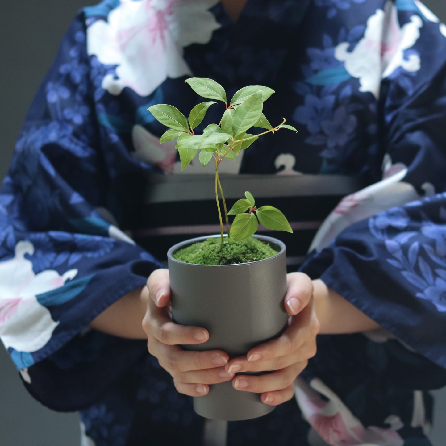 Celebratory potted flower (stone grey pot)