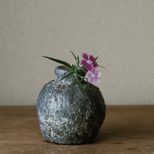 Dianthus superbus var. longicalycinus (Fringed pink, kawara nadeshiko)