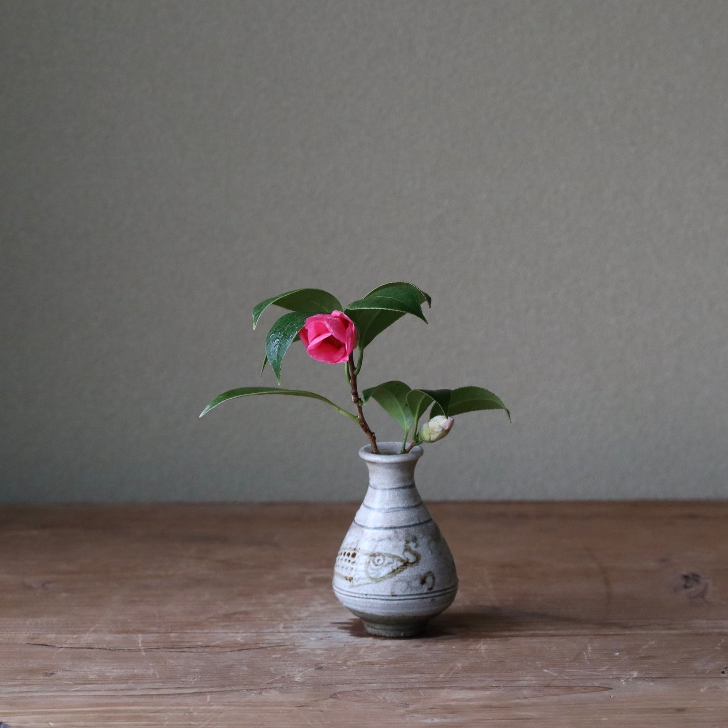 Camellia japoinica ‘Beni-wabisuke’