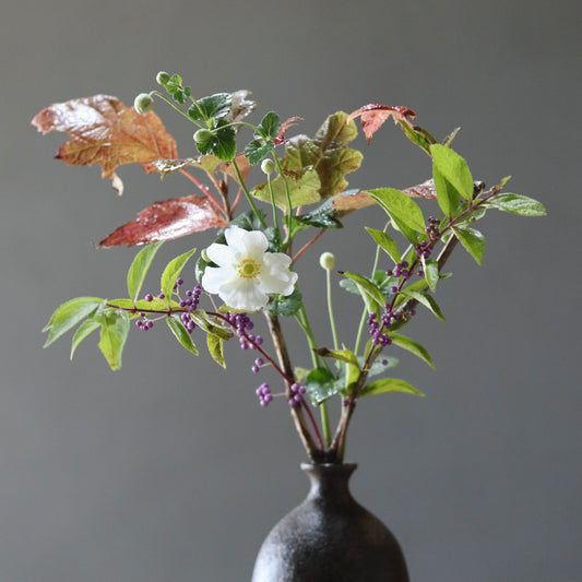 季節のお茶花