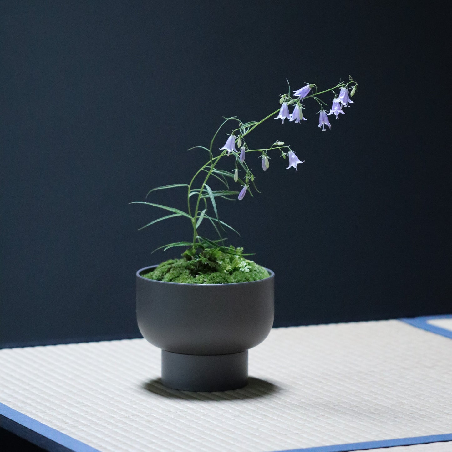 Celebratory potted flower arrangement (stone grey pot)