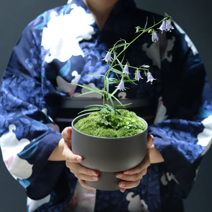 Celebratory potted flower arrangement (stone grey pot)