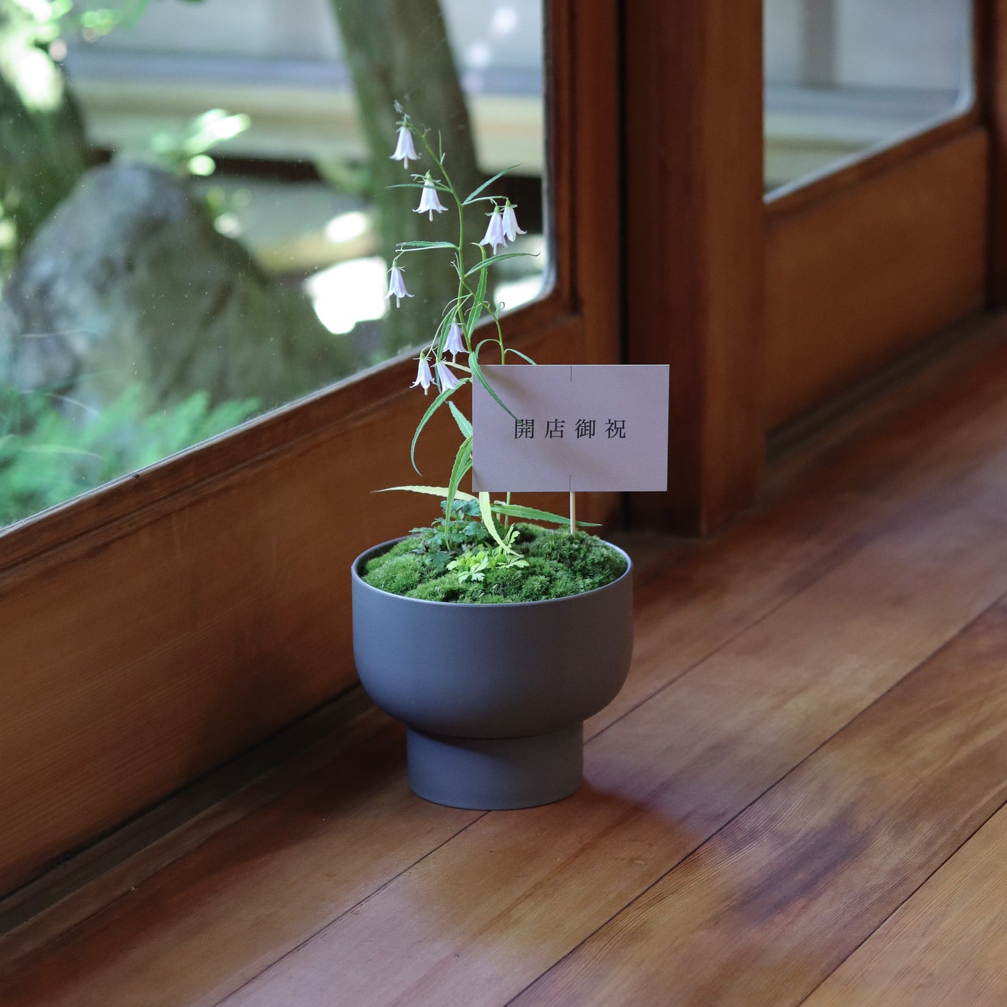 Celebratory potted flower arrangement (stone grey pot)