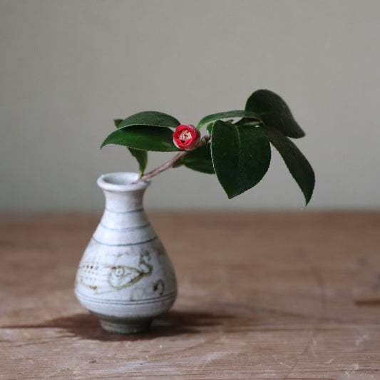 Camellia japonica ‘Tenrin-ji gakko’