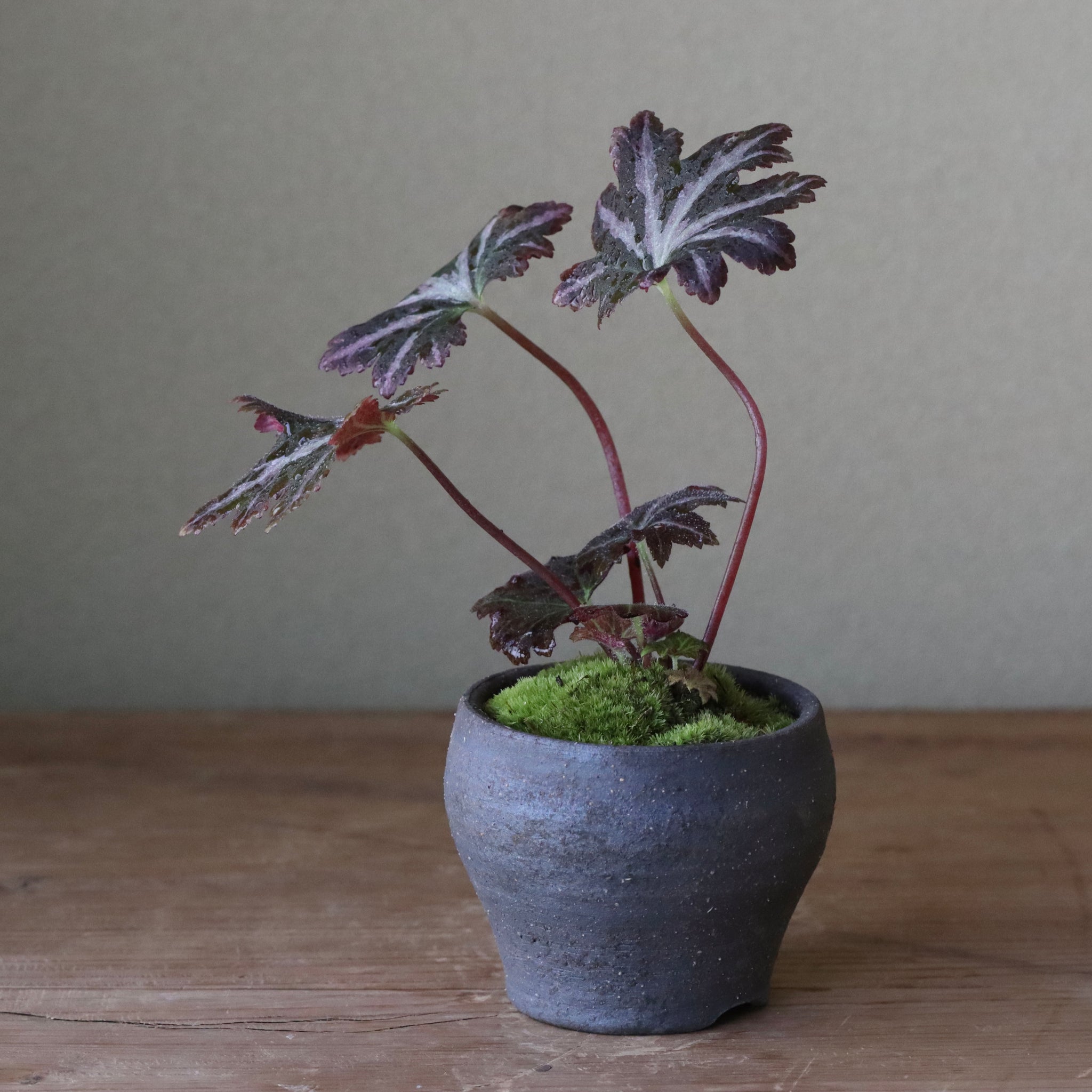Handmade pot by Takaoka, B-6